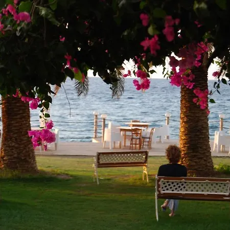 فندق Palm Beach Sudkreta 2*